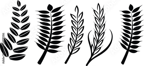 Set of wreaths and branches with leaves. Hand drawing laurel wreaths and branches collection. Laurels wreaths, swirls, twigs and flower ornaments. Herbs, flowers and plants elements with vector
