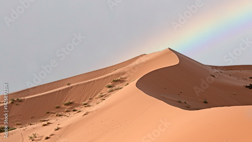 Fotografia Golden immensity, the scenic landscape of the Sahara Desert