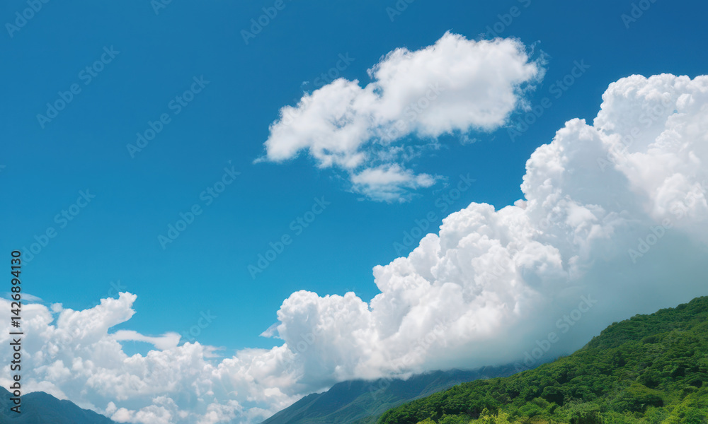 People enjoying the view from the top of a lush green hillside