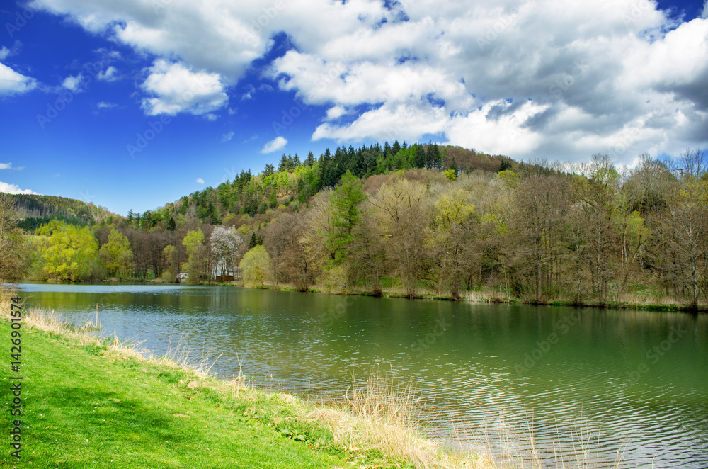 Spring Landscape Lake Forest Hills Germany Scenic