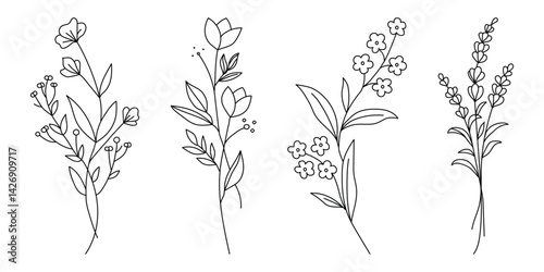 Elegant Black and white Floral Line Art Illustrations