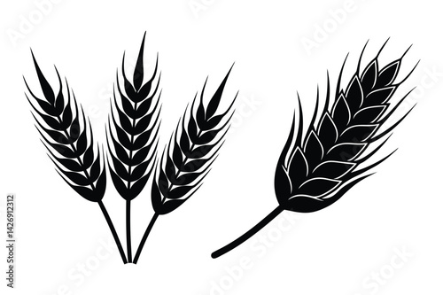 wheat ears isolated on white