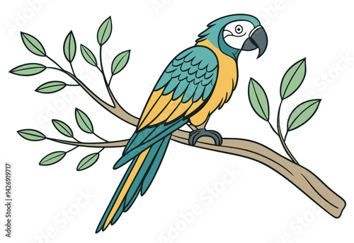 blue and yellow macaw
