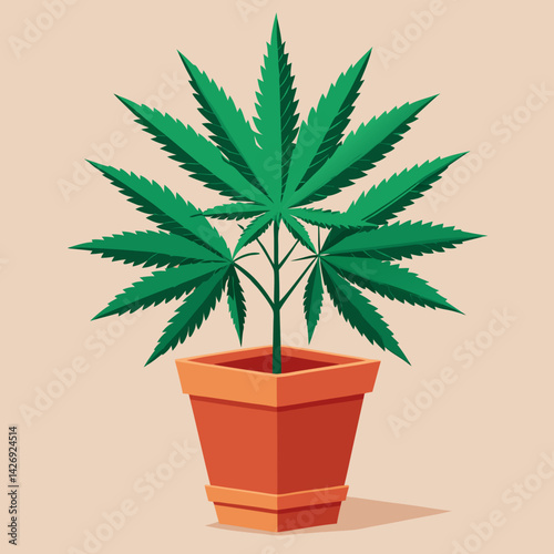 green plant in a pot