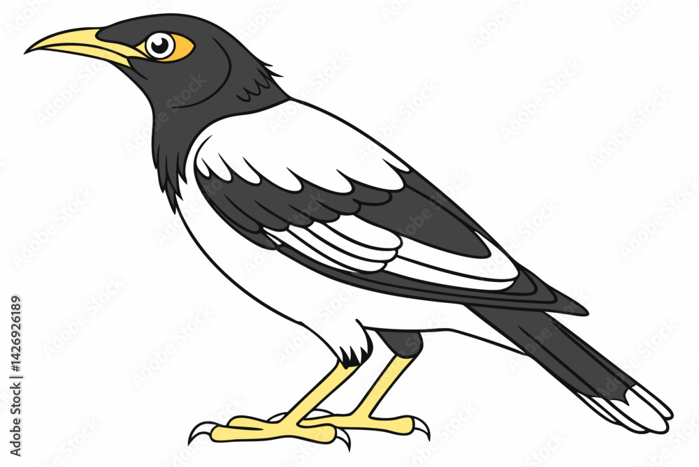 Fototapeta premium bird on a branch