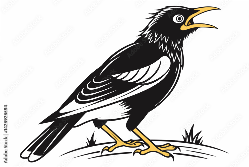 Fototapeta premium vector illustration of a bird