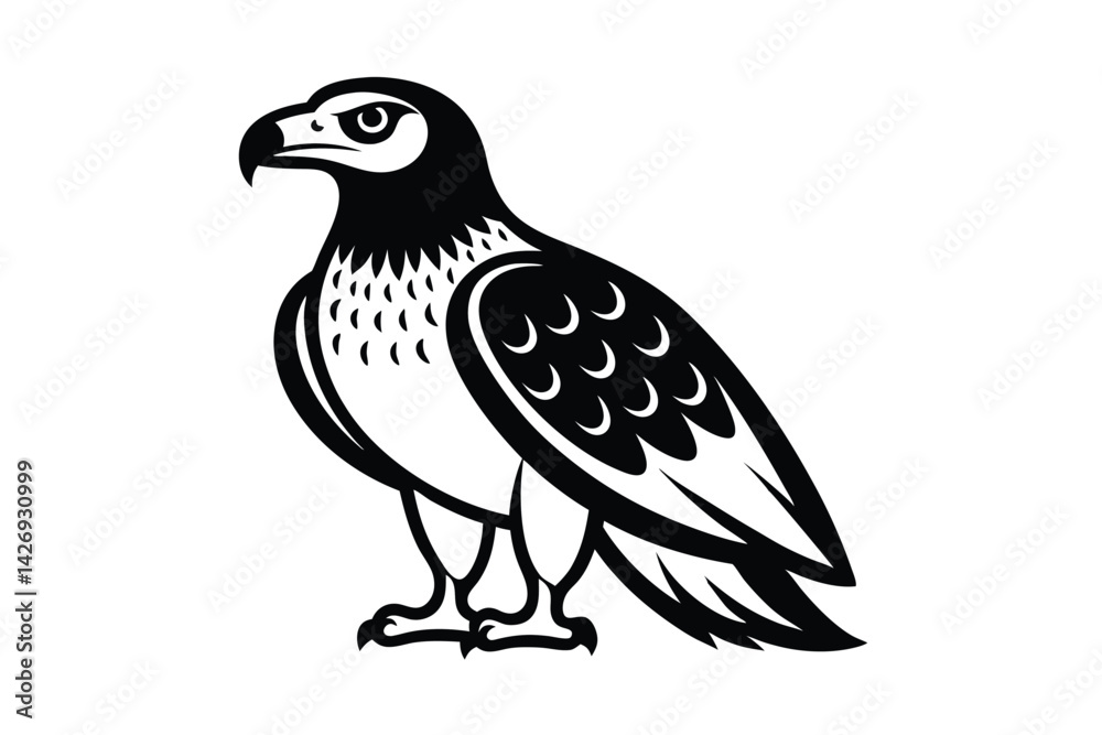 Obraz premium eagle isolated on white background