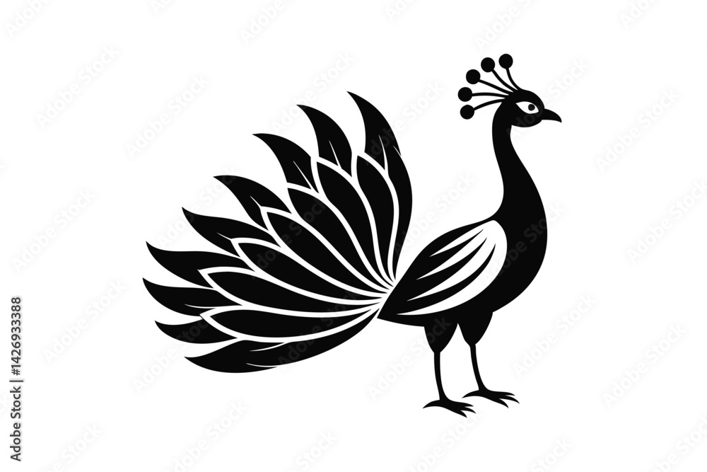 Obraz premium peacock vector illustration