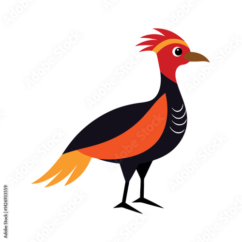 Great Argus Bird Color Vector