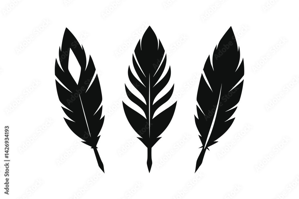 feather vector illustration feather vector illustration