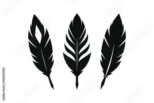 feather vector illustration
