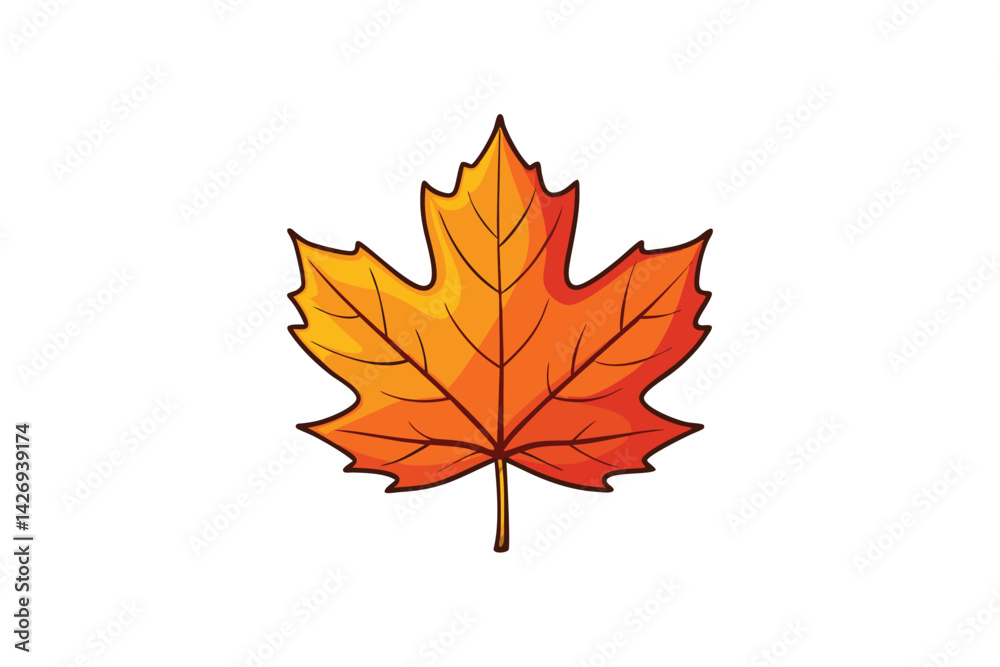 Fototapeta premium maple leaf isolated on white