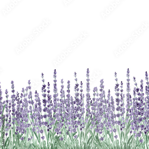Watercolor aquarelle seamless pattern background with lilac violet purple colored lavender flowers.Design floral element