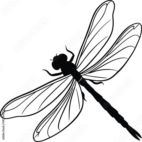 dragonfly isolated on white
