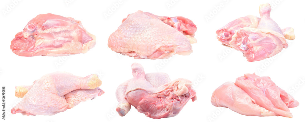 Chicken set isolated