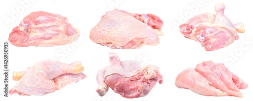 Chicken set isolated