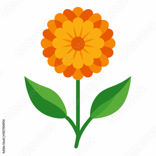 new beautiful calendula flowers natural vector icon on white background
