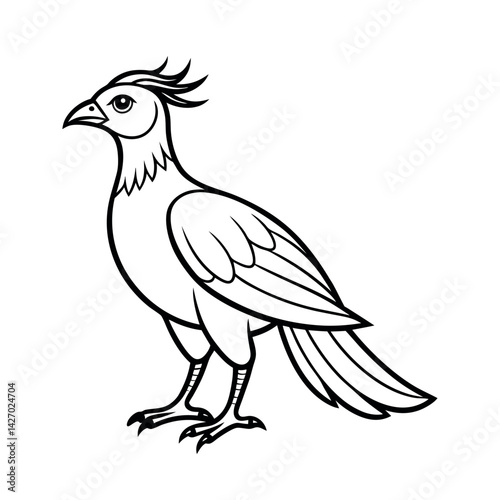 Great Argus Bird Outline Vector