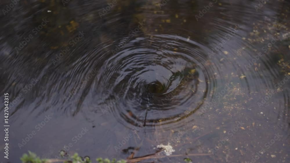  Remolino de agua en un arroyo natural