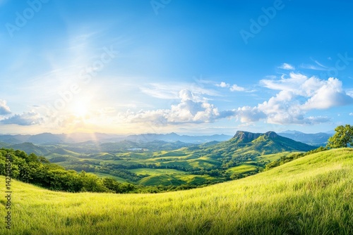 Beautiful, sunny day with a clear blue sky and a large, grassy field