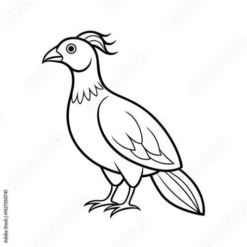 Outline of a Baby Great Argus Bird Vector