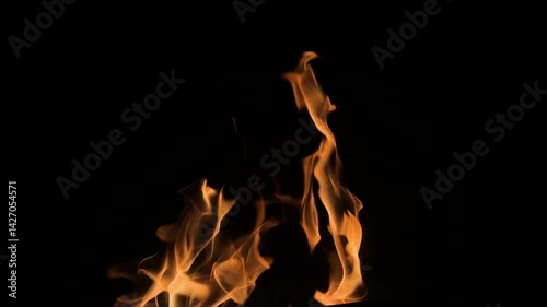 Isolated fire on black background. Flame on black background. Fire on black background.
