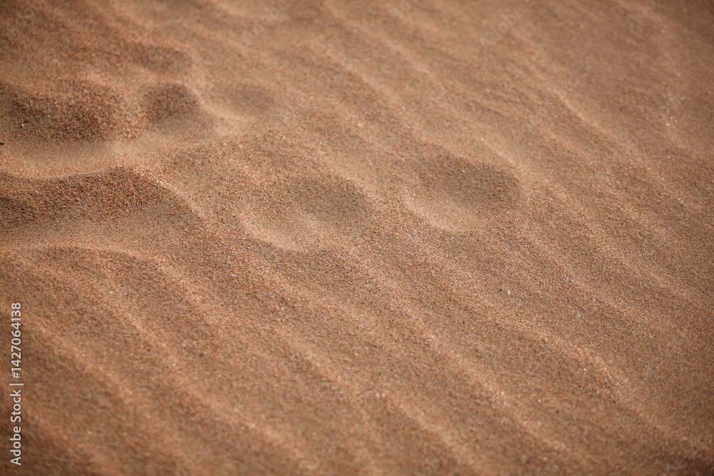 Fototapeta premium sand ripples in the sand