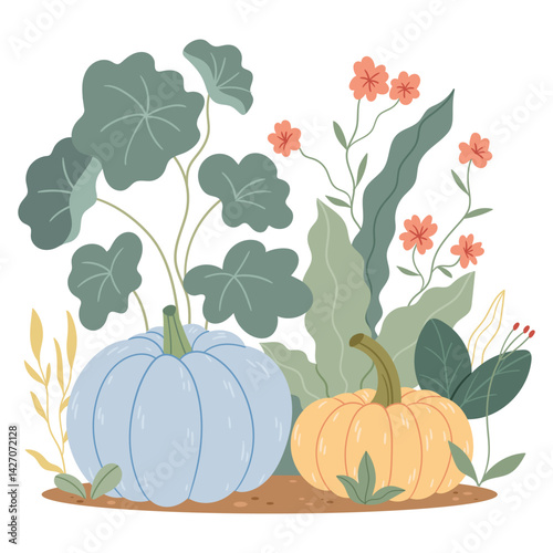 Pumpkins grow in a flower bed. Harvest, autumn, Thanksgiving.