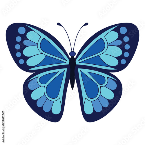 A beautiful blue butterfly vector