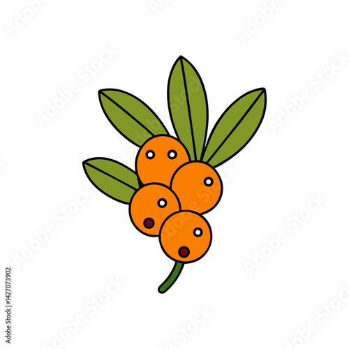 Cute sea buckthorn cartoon vector