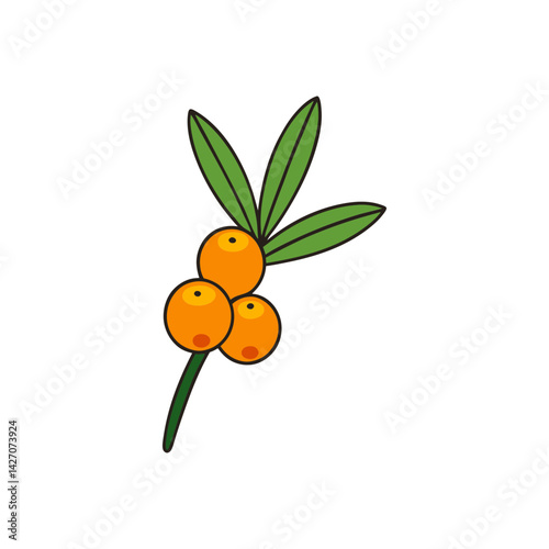 Cute sea buckthorn cartoon vector