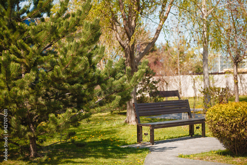 Fototapeta Naklejka Na Ścianę i Meble -  bench in the park