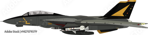 Military jet fighter F 14 Tomcat 