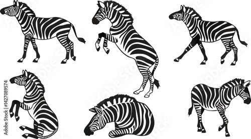 Zebra Illustration Set – Black and White Wildlife Sketch in Graphic Ink Style