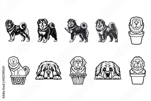 Tibetan Mastiff