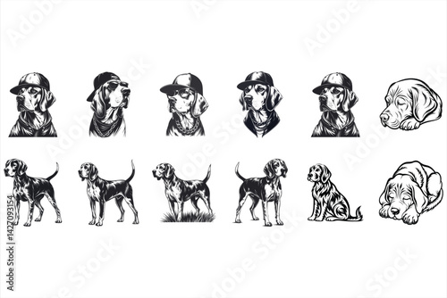 Treeing Walker Coonhound Dog