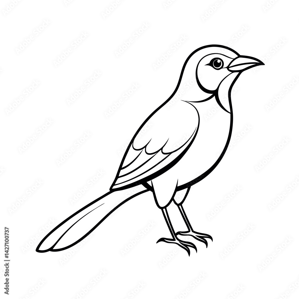 Obraz premium Motmot Bird Sketch Outline Drawing