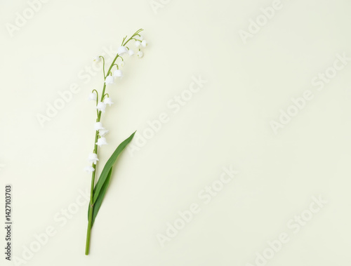 Minimalist composition of a single lily of the valley stem with a few white bells and green leaf on a plain light background