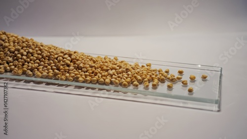 A small collection of light beige poppy seeds spilled onto a glass surface.
