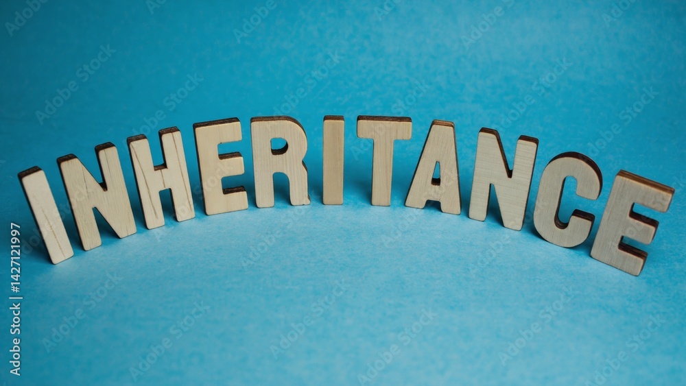 Colorful wooden letters from the word inheritance.