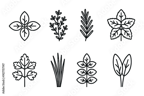 Herbal ingredients icon set – outline style botanical and plant symbols for cooking and natural products: basil, rosemary, parsley, sage, thyme, mint, bay leaf, cilantro
