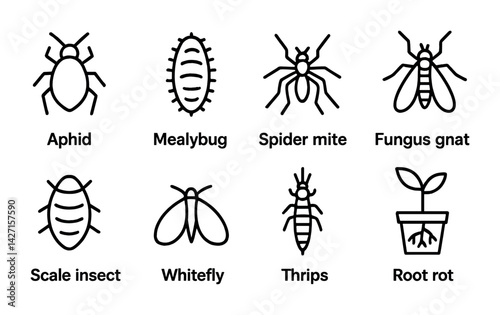 Gardening pest control icon set – outline style plant protection and disease prevention symbols for horticulture, pest management, and garden care: aphid, mealybug, spider mite, fungus gnat, scale