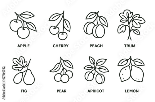 Fruit and tree outline icons set – line art symbols for orchard enthusiasts, gardening fans, and nature projects: apple, cherry, peach, plum, fig, pear, apricot, lemon