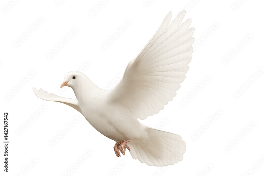 Obraz premium White Dove Flying Gracefully in a Bright Open Sky Above Lush Green Trees
