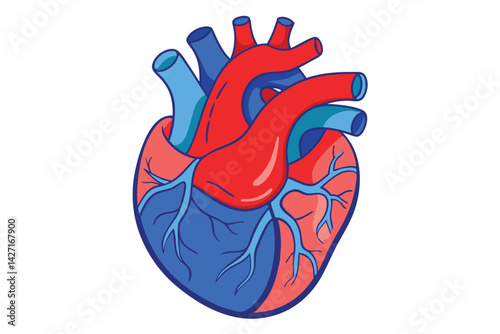 Modern Minimalistic Human Heart on white.