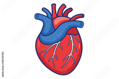 Modern Minimalistic Human Heart on white.