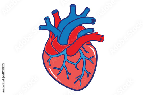 Modern Minimalistic Human Heart on white.