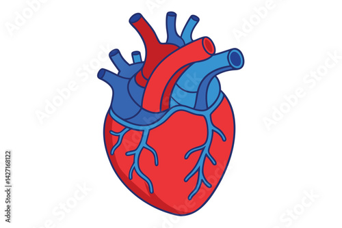 Modern Minimalistic Human Heart on white.