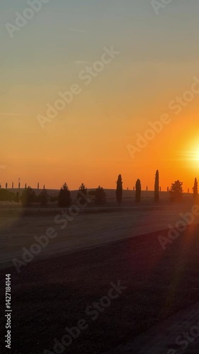 A Serene and Beautiful Sunset Over Gentle Hills Adorned with Tall Trees Standing Proudly