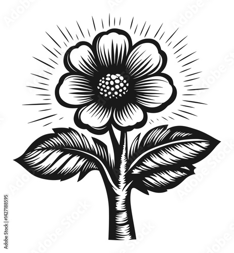 Detailed Engraving of a Flower with Leaves and Radial Lines
